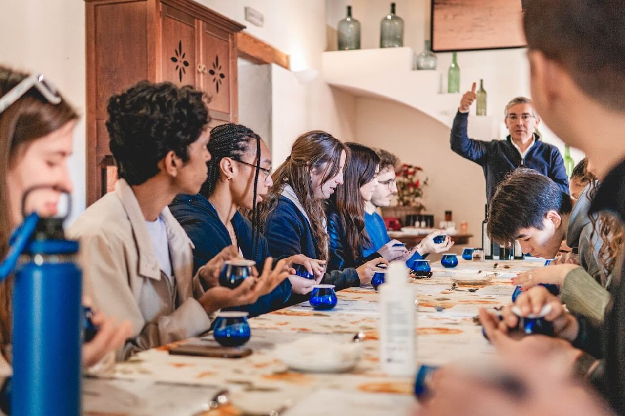 Olive oil tasting